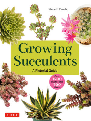 cover image of Growing Succulents